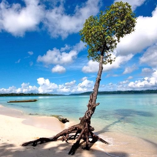 havelock-island-andaman